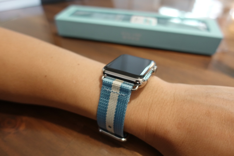 forehand with TOMS for Apple watch band 42mm Light Blue Stripe